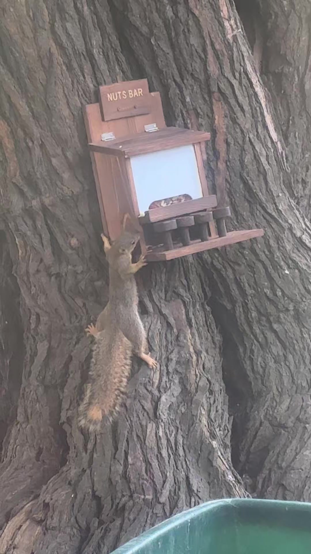 @psychosamm420.626