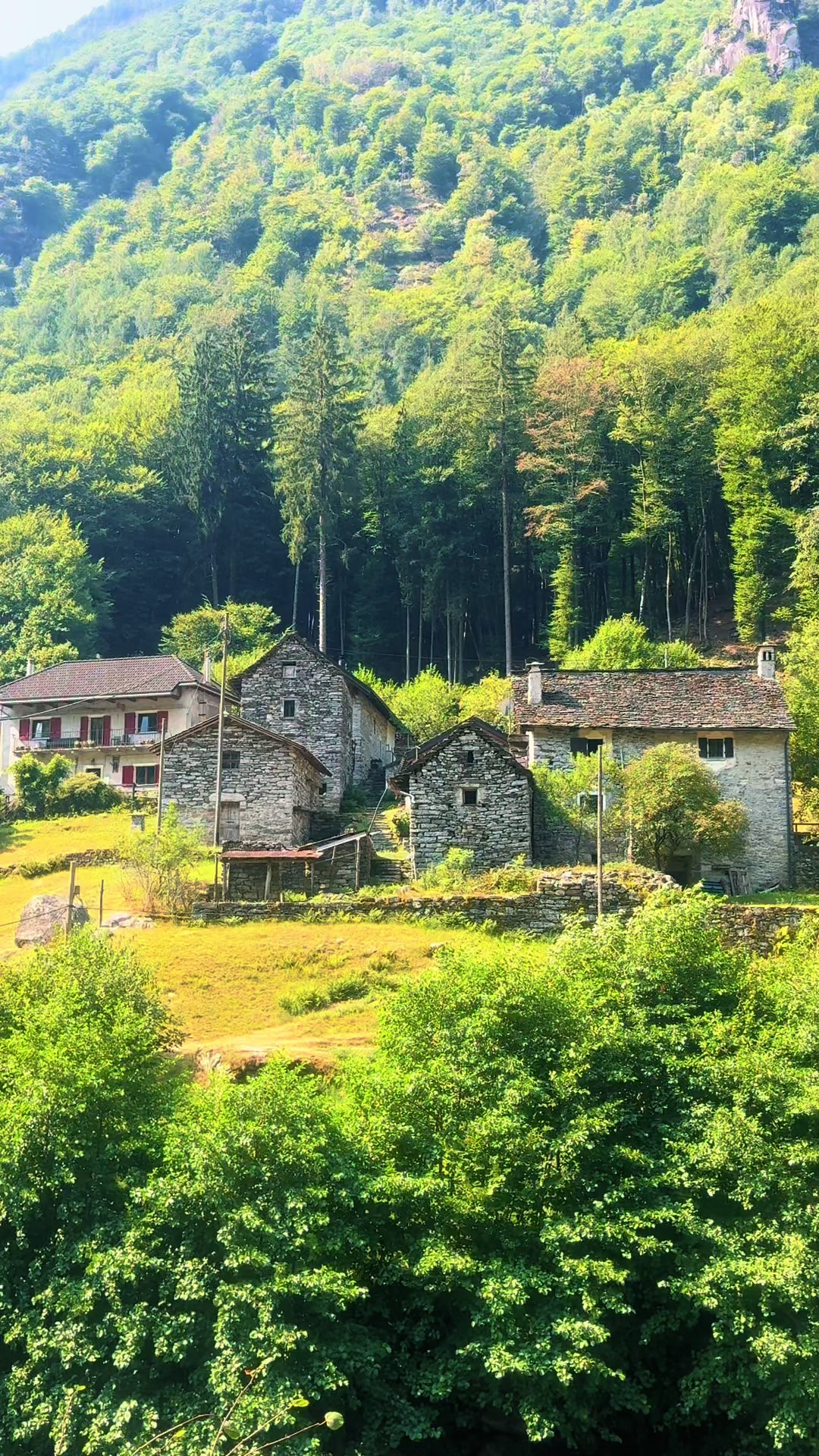 @TatuSwiss🇨🇭❤️🇳🇵