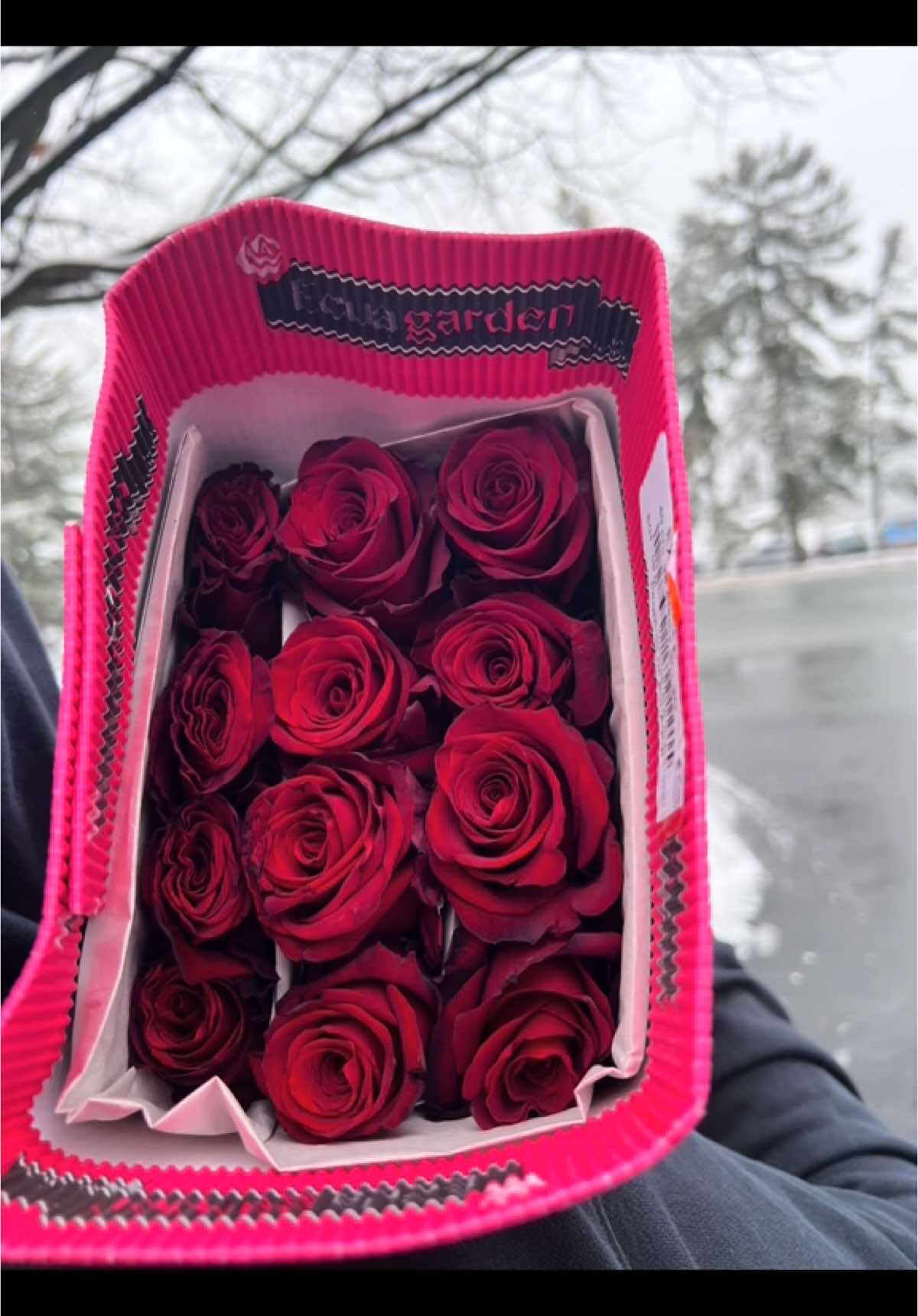 @lizthenailtexh