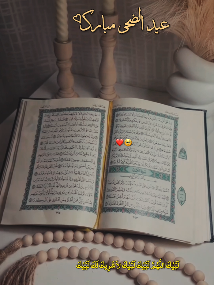 @𝑵𝑨𝑨𝑻 𝑺𝑻𝑨𝑻𝑼𝑺 ❣️