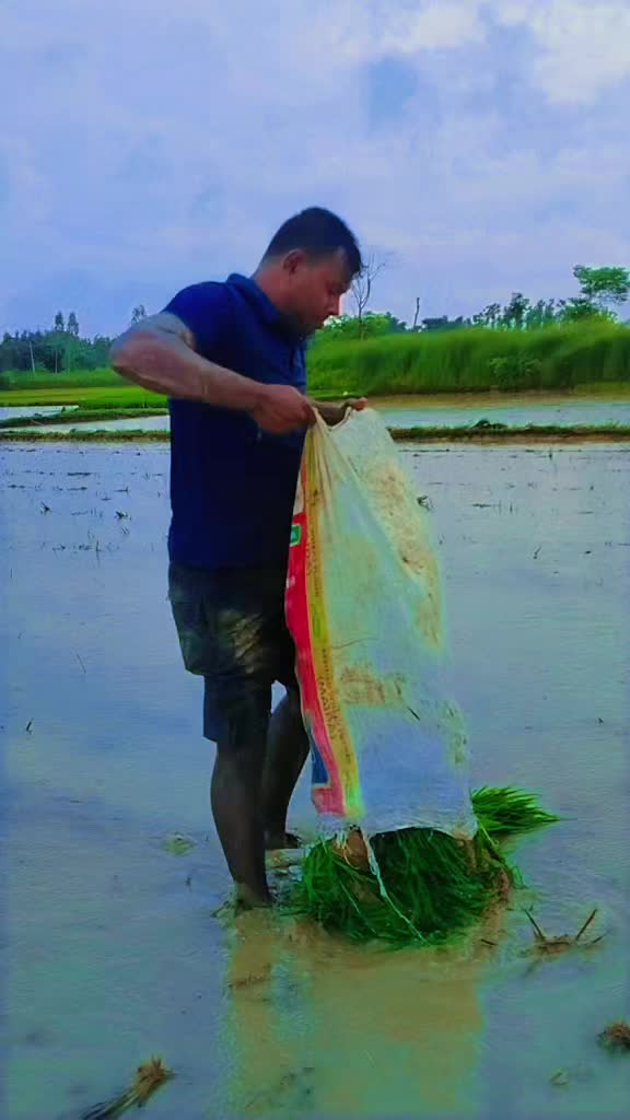 @Akhileshbabu89