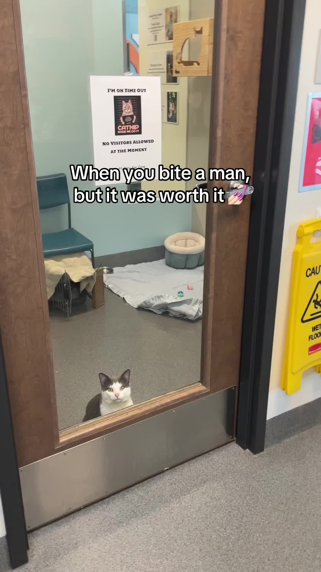 @Animal Friends Alliance