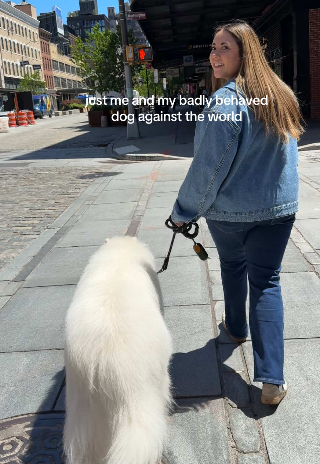 @Biff the Samoyed