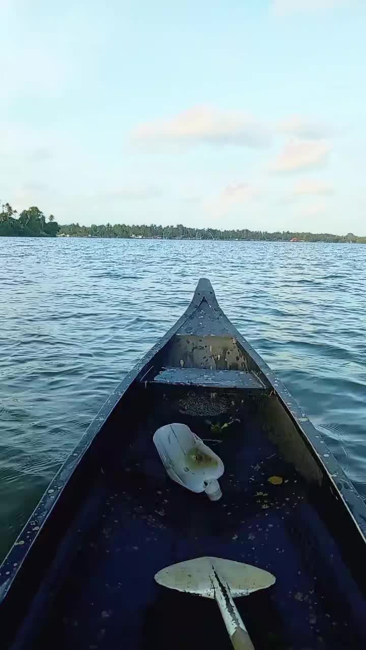 @Jikku Paul