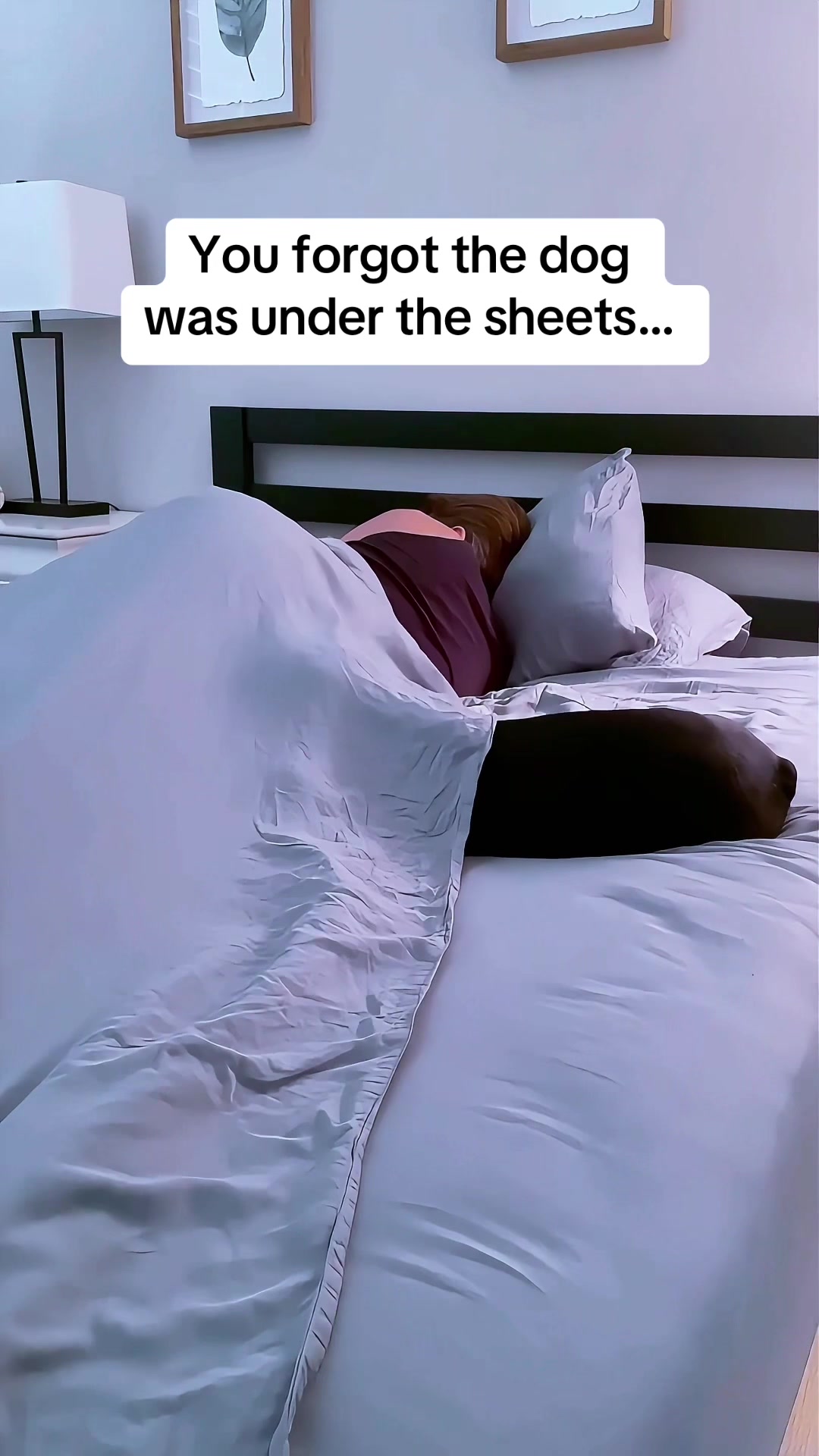 @WhenAshMetBowser