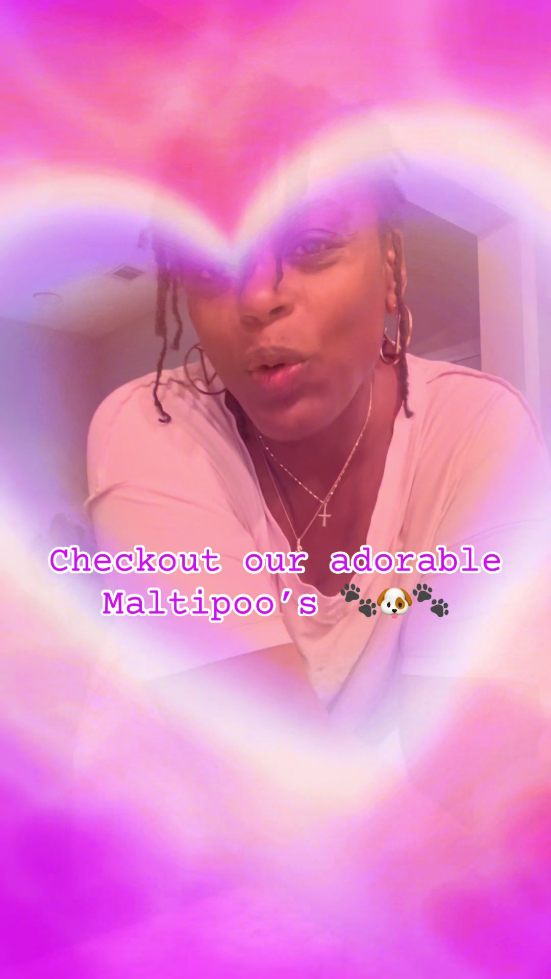 @Shortcake_kennel_2