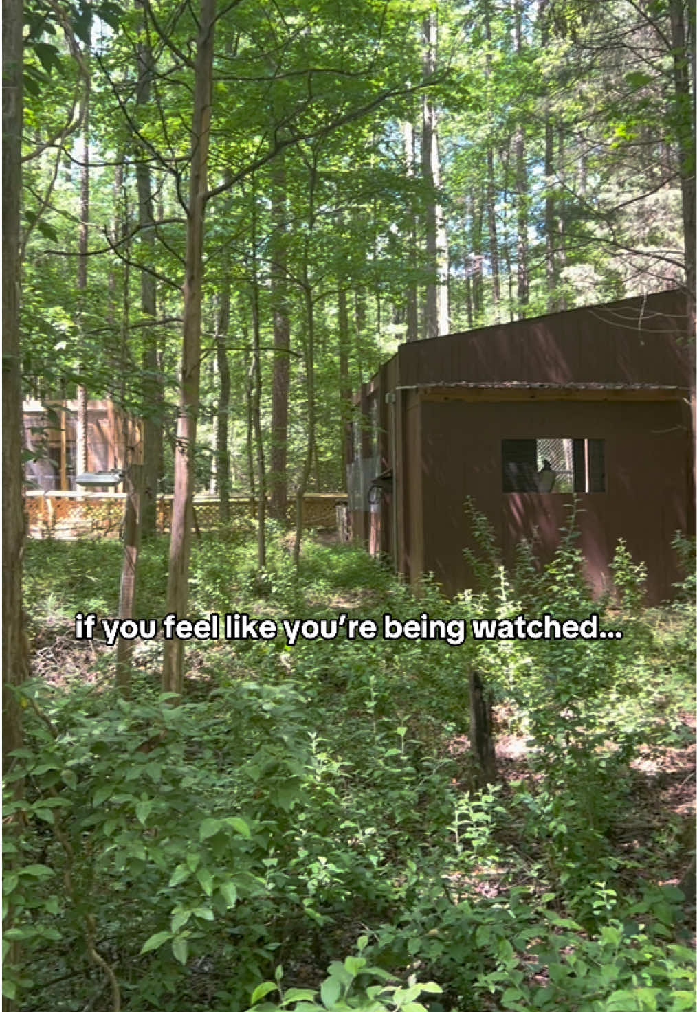@Carolina Raptor Center