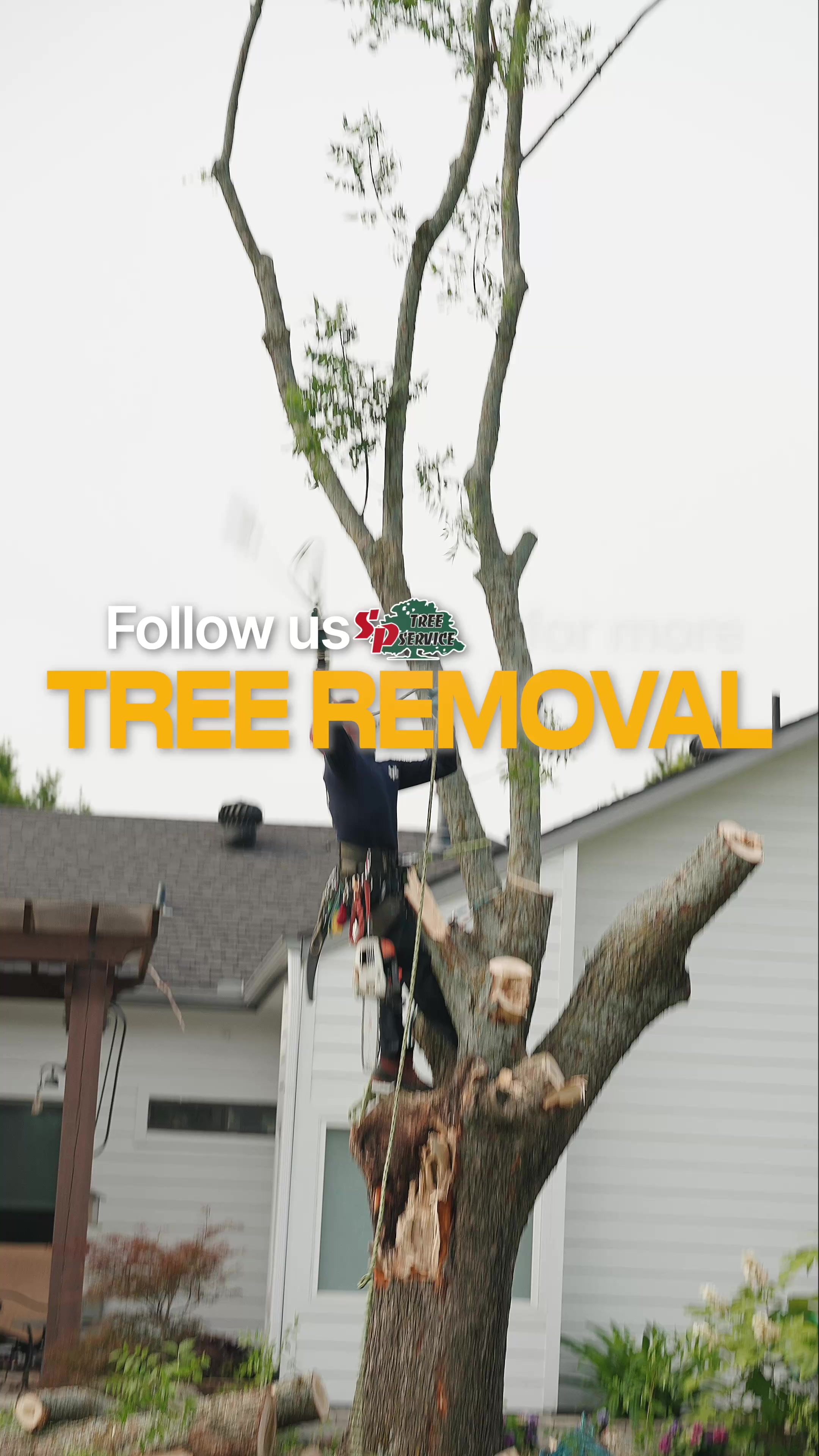 @SPTreeService