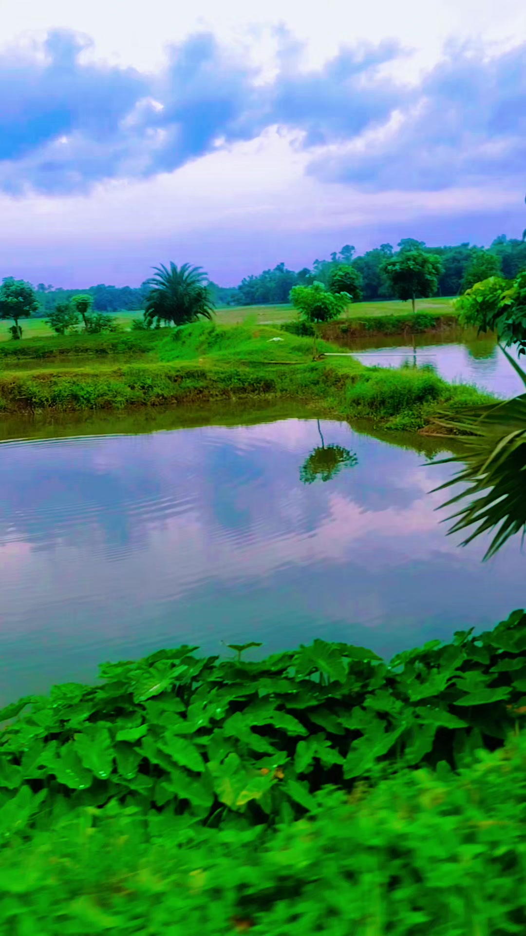 @❤️❤️❤️লিজা মনি❤️❤️❤️