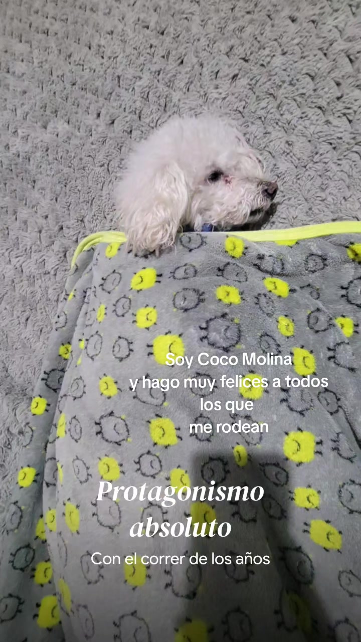 @melvamolinal