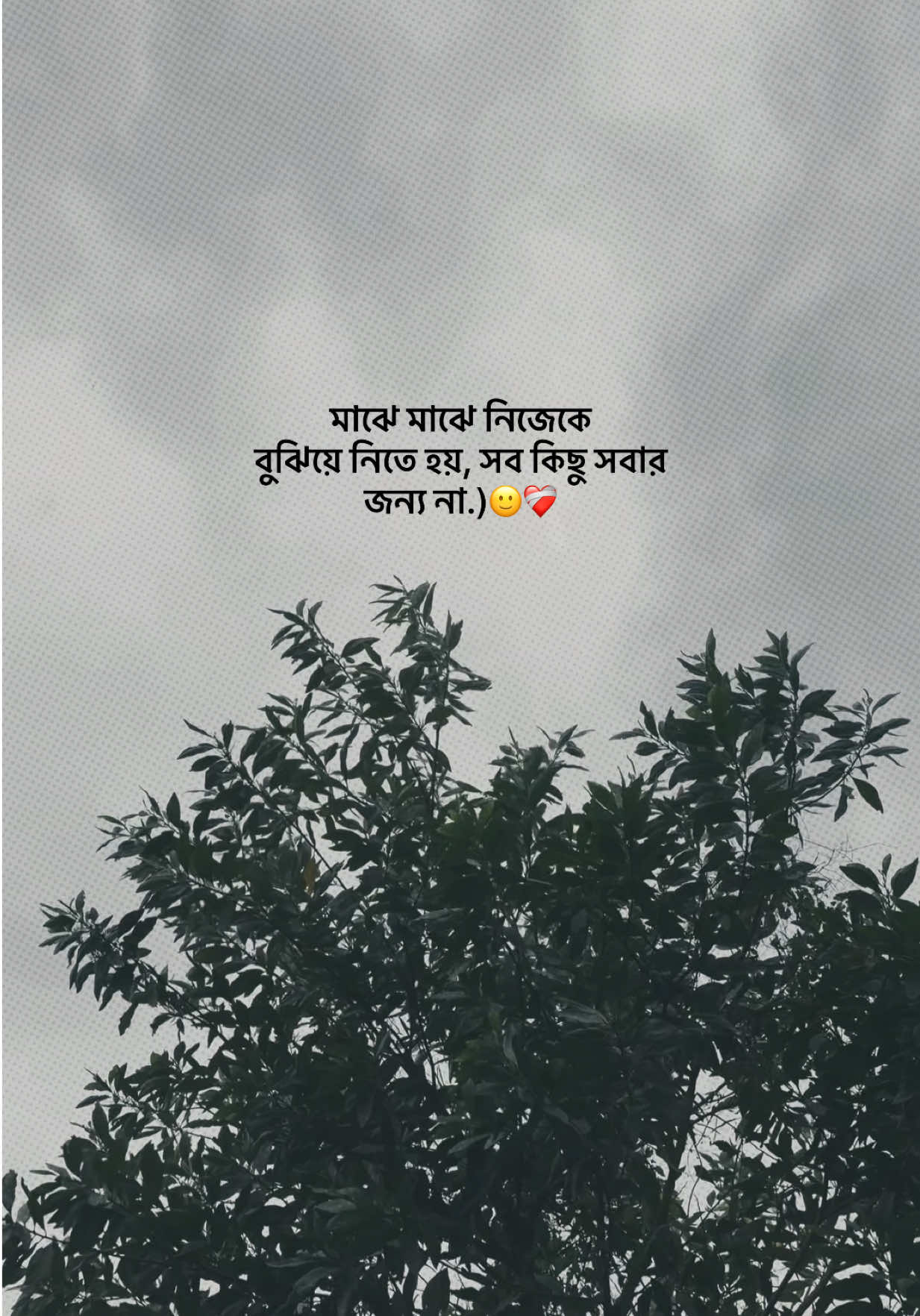 @❏ 𝗔𝗙𝗝𝗔𝗟'🐼