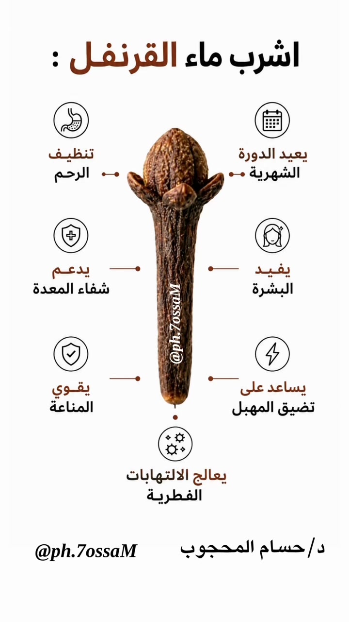 @دكتور حسام المحجوب