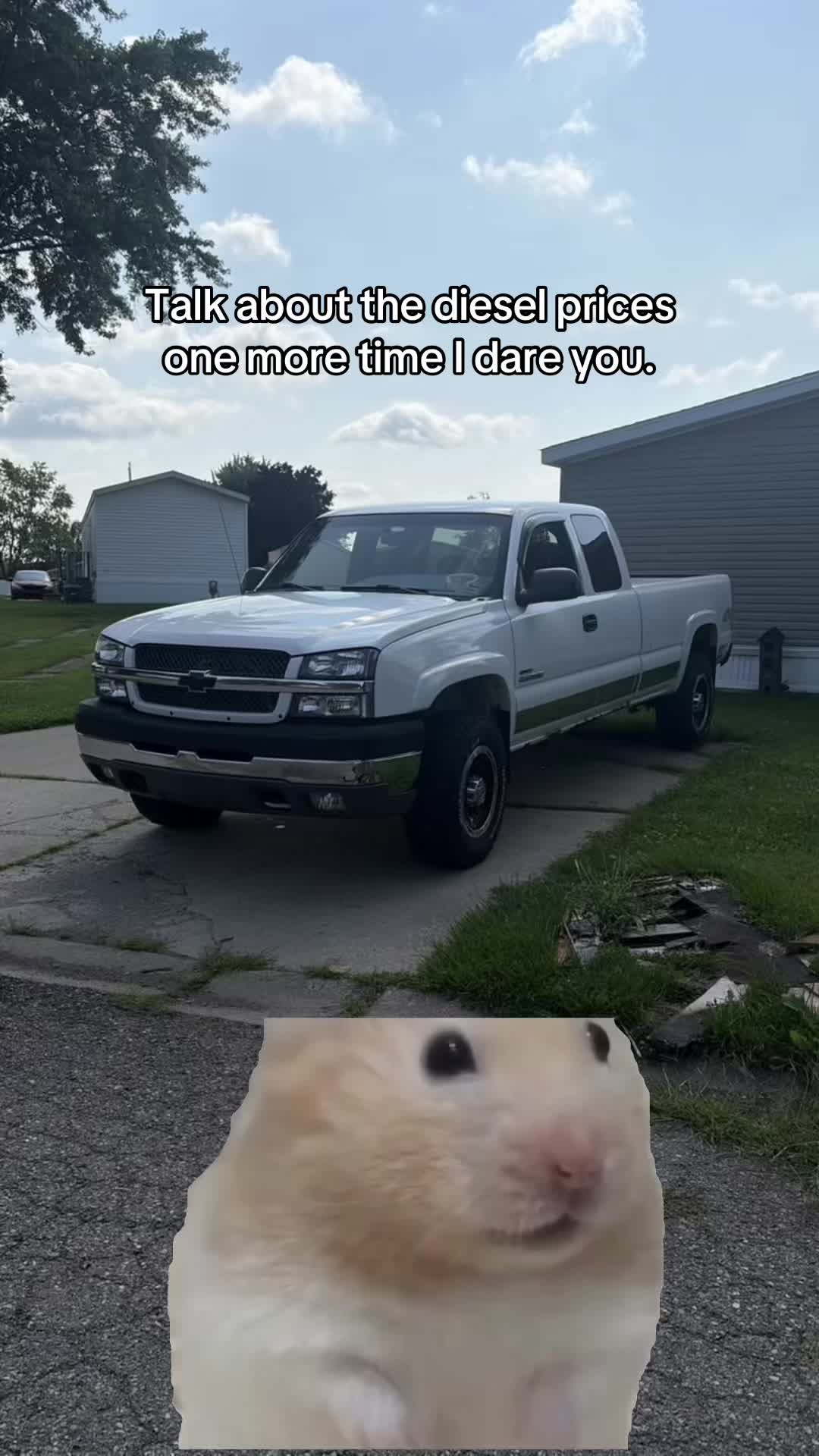 @𝕊𝕟𝕠𝕨 𝕎𝕙𝕚𝕥𝕖 𝕃𝕃𝕐