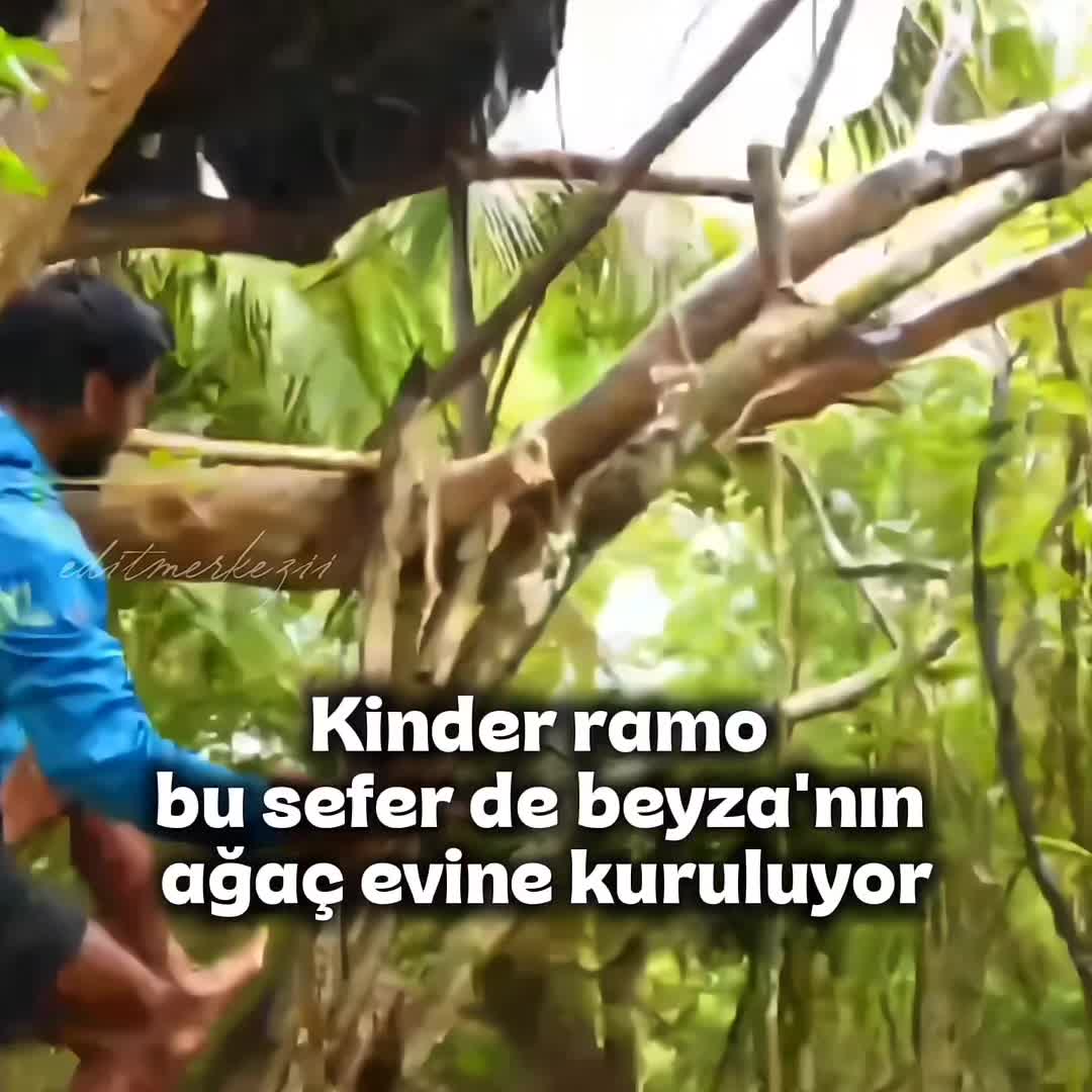 @Edit Merkezii