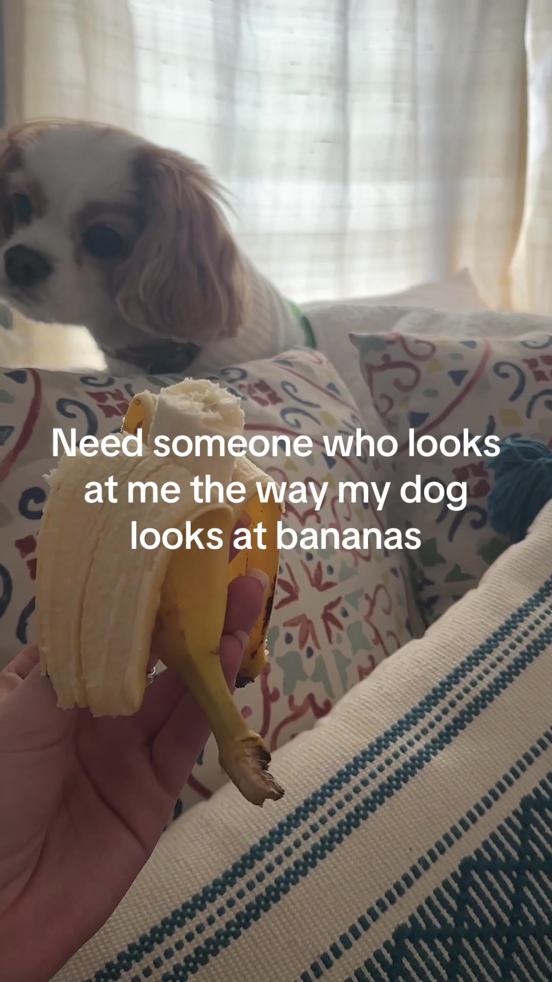 @Granny Dani