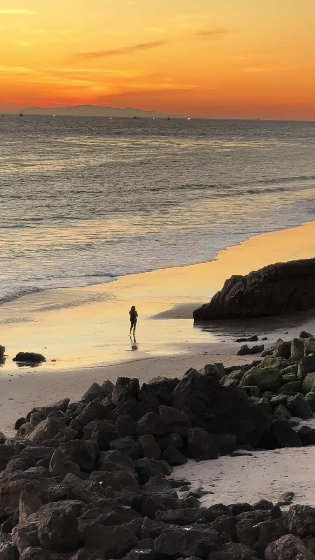 @Relaxing Ocean Sounds