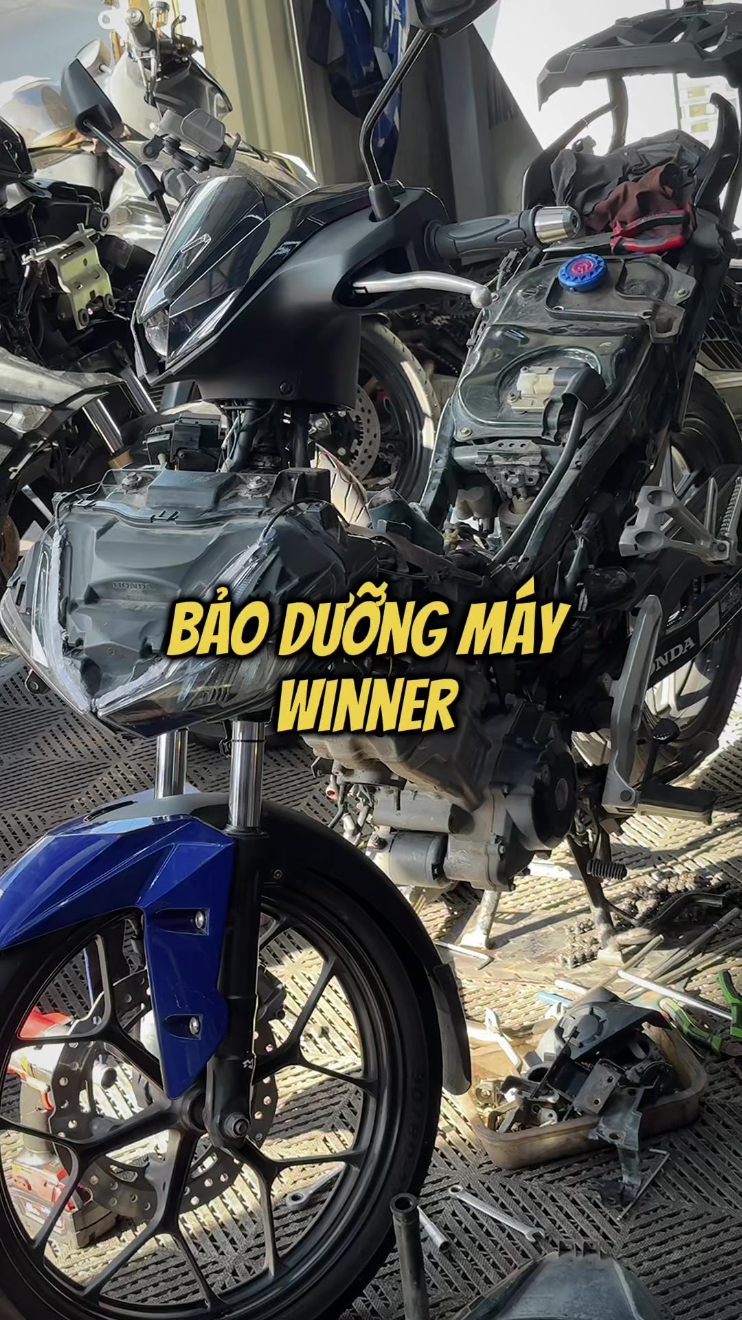 @Đạt L&agrave; 🇻🇳