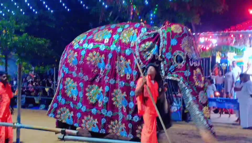 @கார்த்திகை பூக்கள்🇦🇪🇦🇪