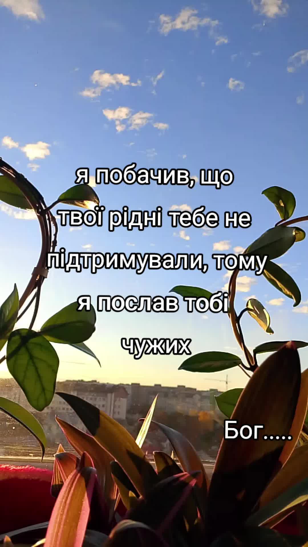 @Ksenia:💙🖤