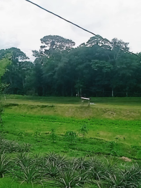 @acua agro