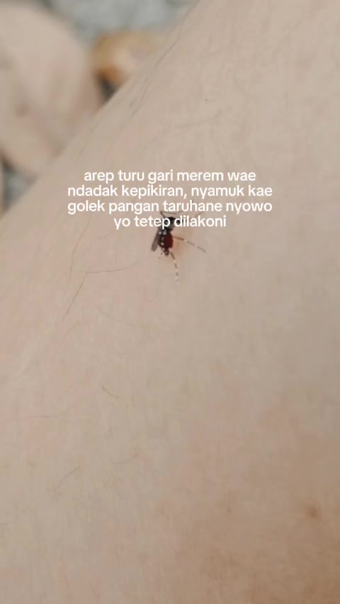 @sayektii
