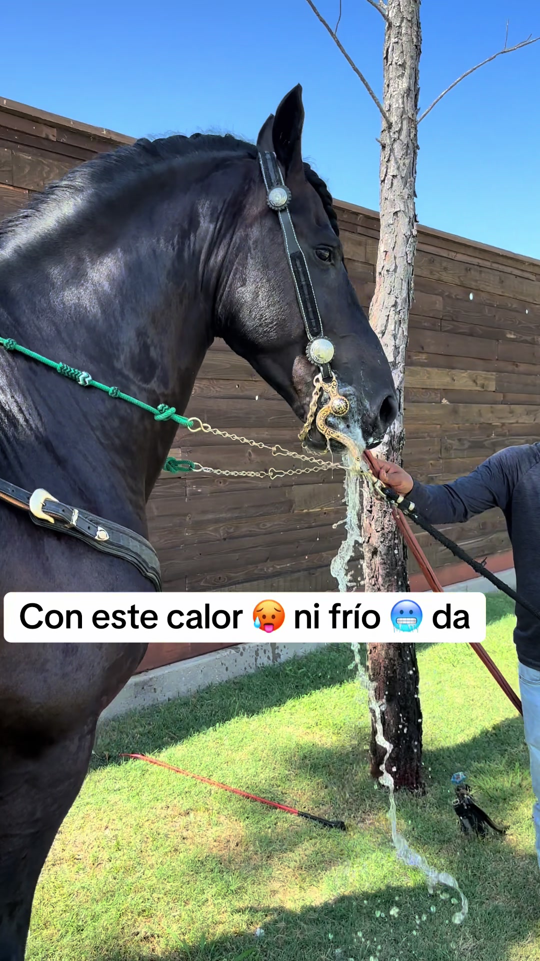 @Ranchoelnaturalito