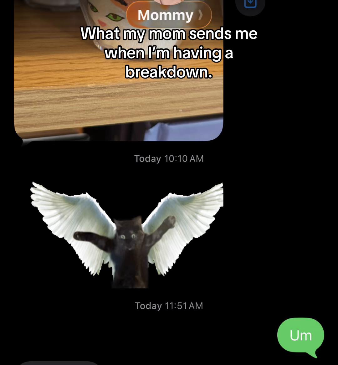 @⋆⊹˚𖦹whist𖦹˚⊹⋆⁷