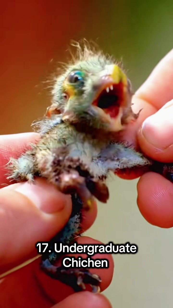 @ExoplanetWildlife