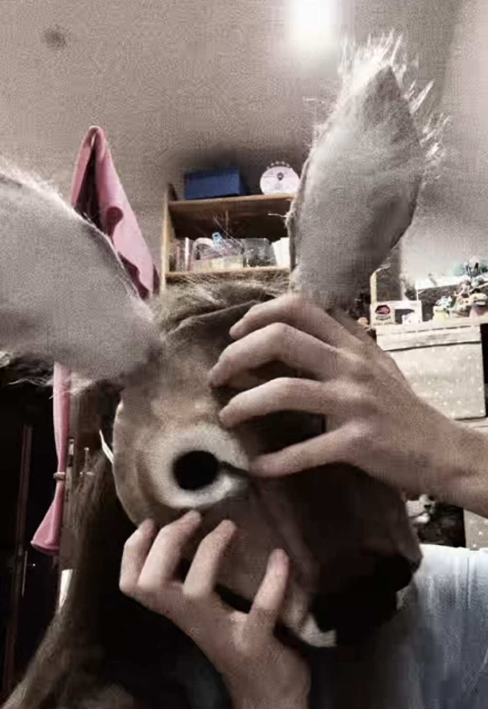 @★𝓚𝓸𝓻𝓪★