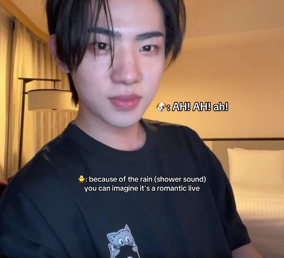 @yushifan
