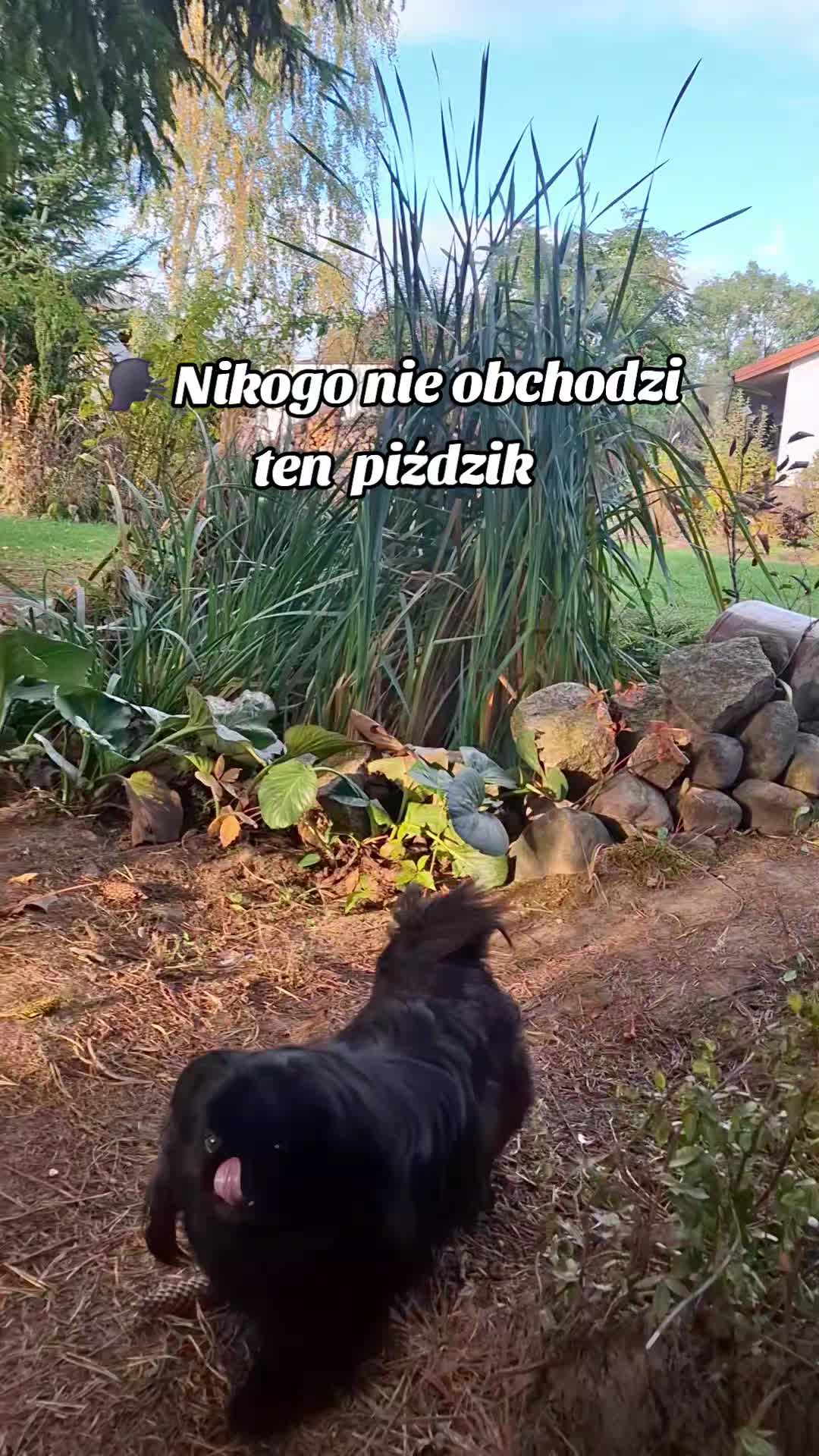 @Endurowsky_Zapl8