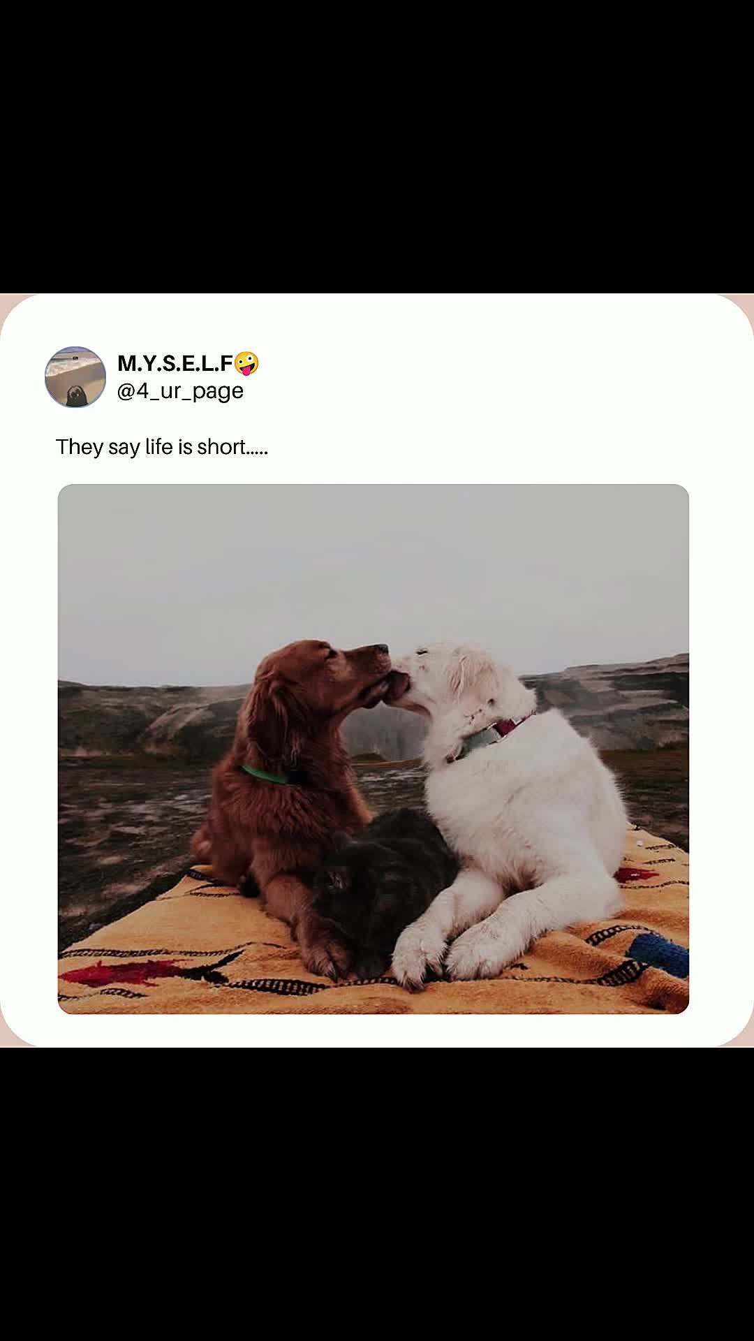 @M.Y.S.E.L.F🤪