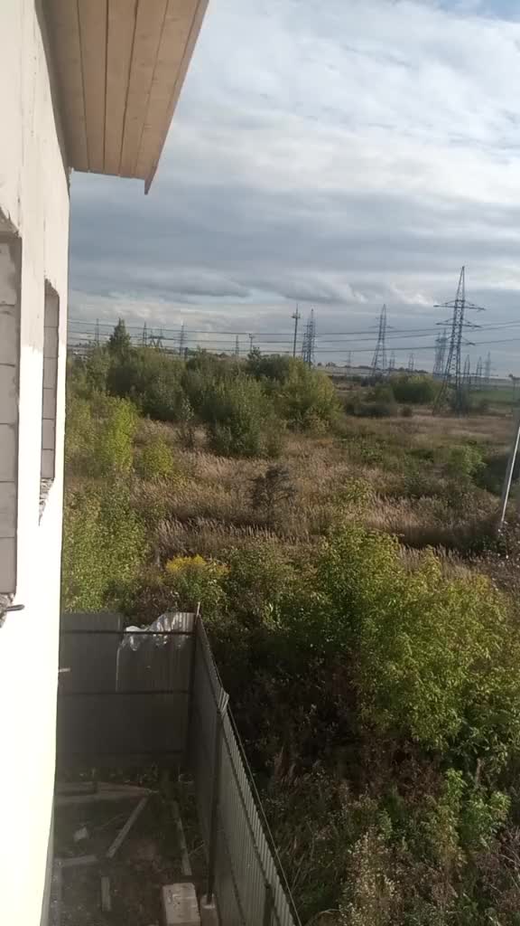 @baxodir