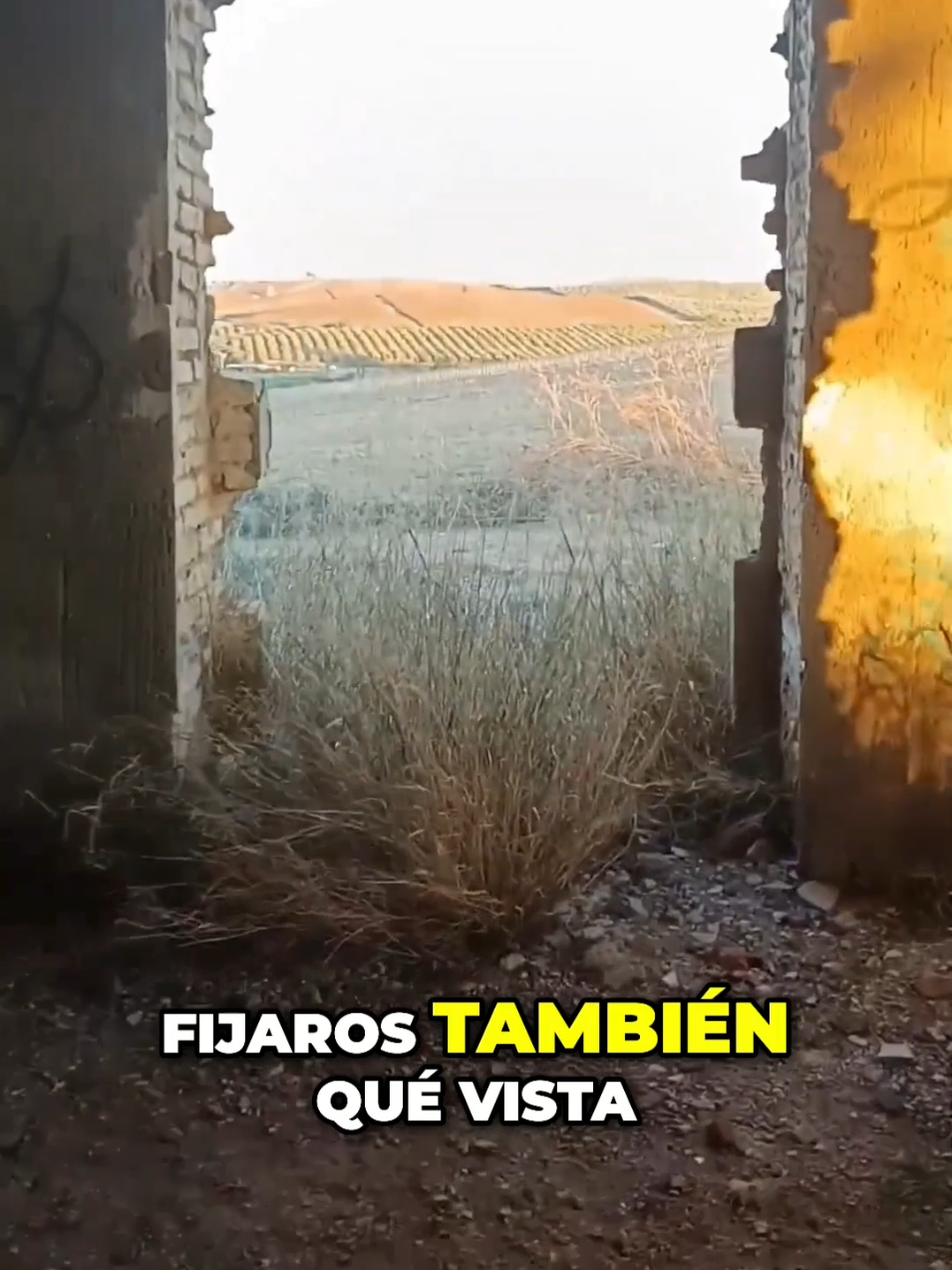 @Madrile