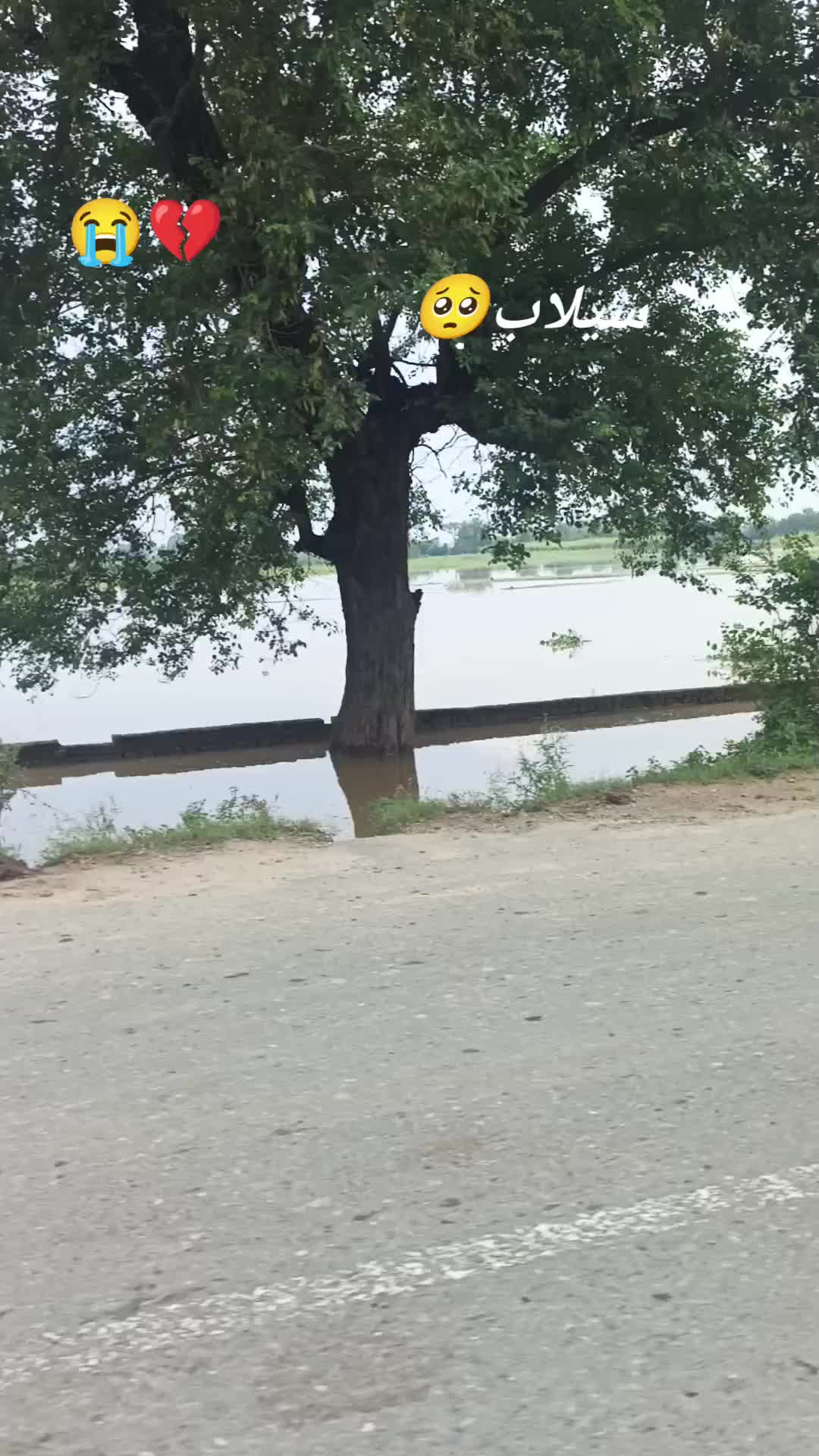 @𝕀𝕤𝕝𝕒𝕞𝕚𝕔 𝔼𝕕𝕚𝕥𝕤
