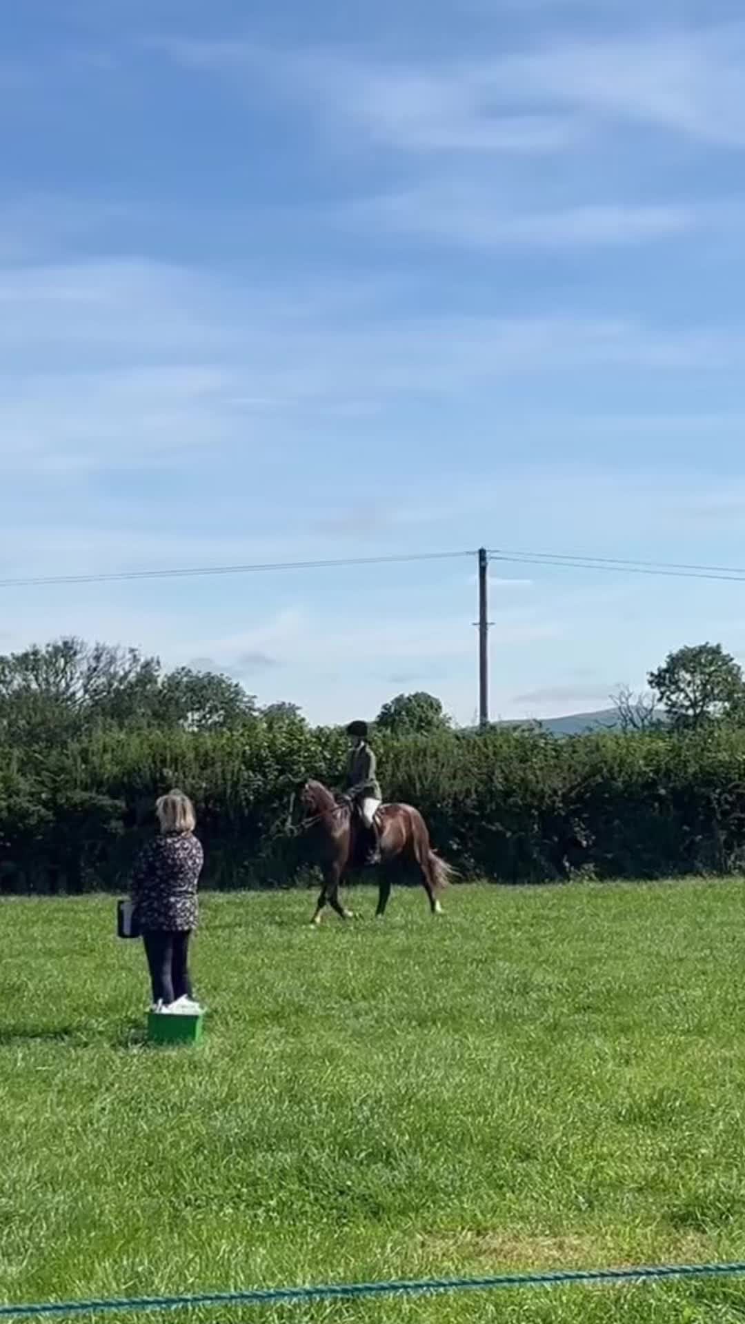 @amelia_showjumping2