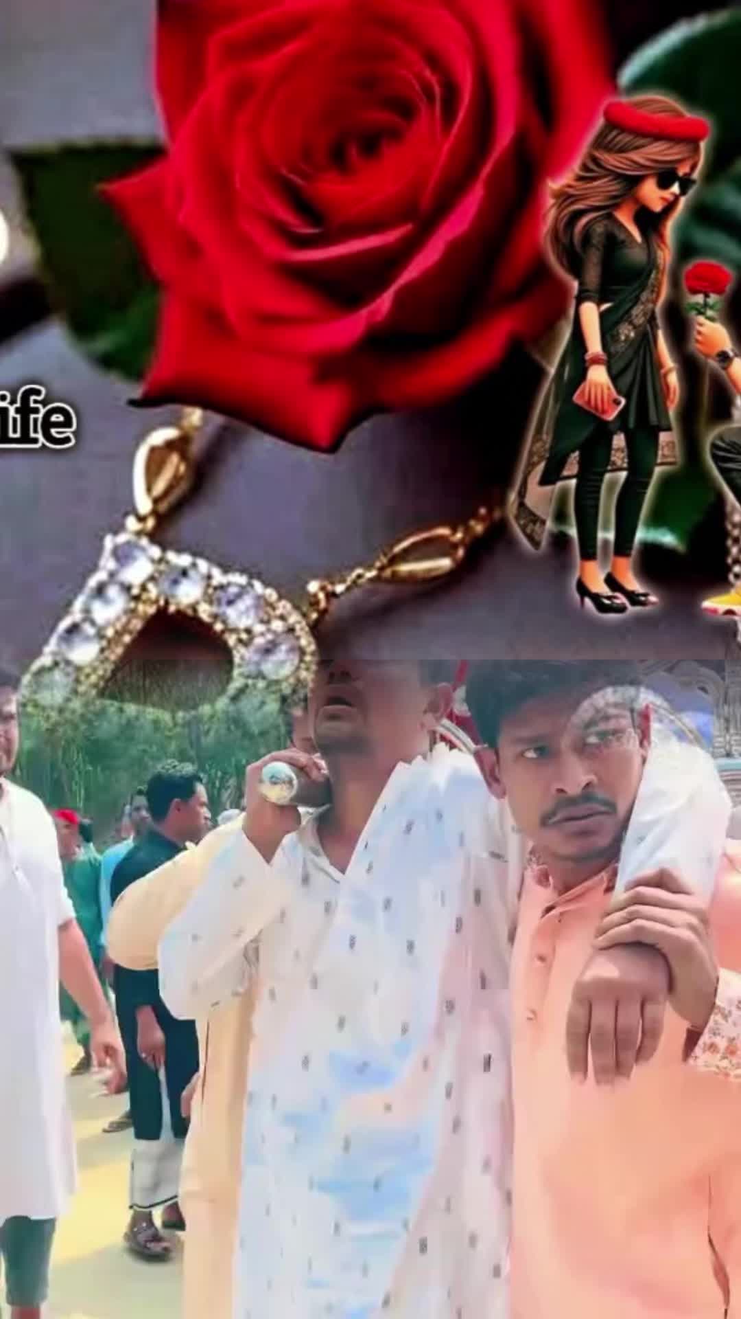 @N.begum12