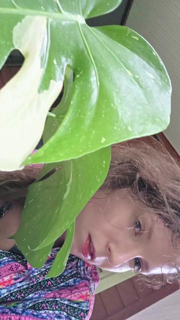 @BecomingⒶGreen