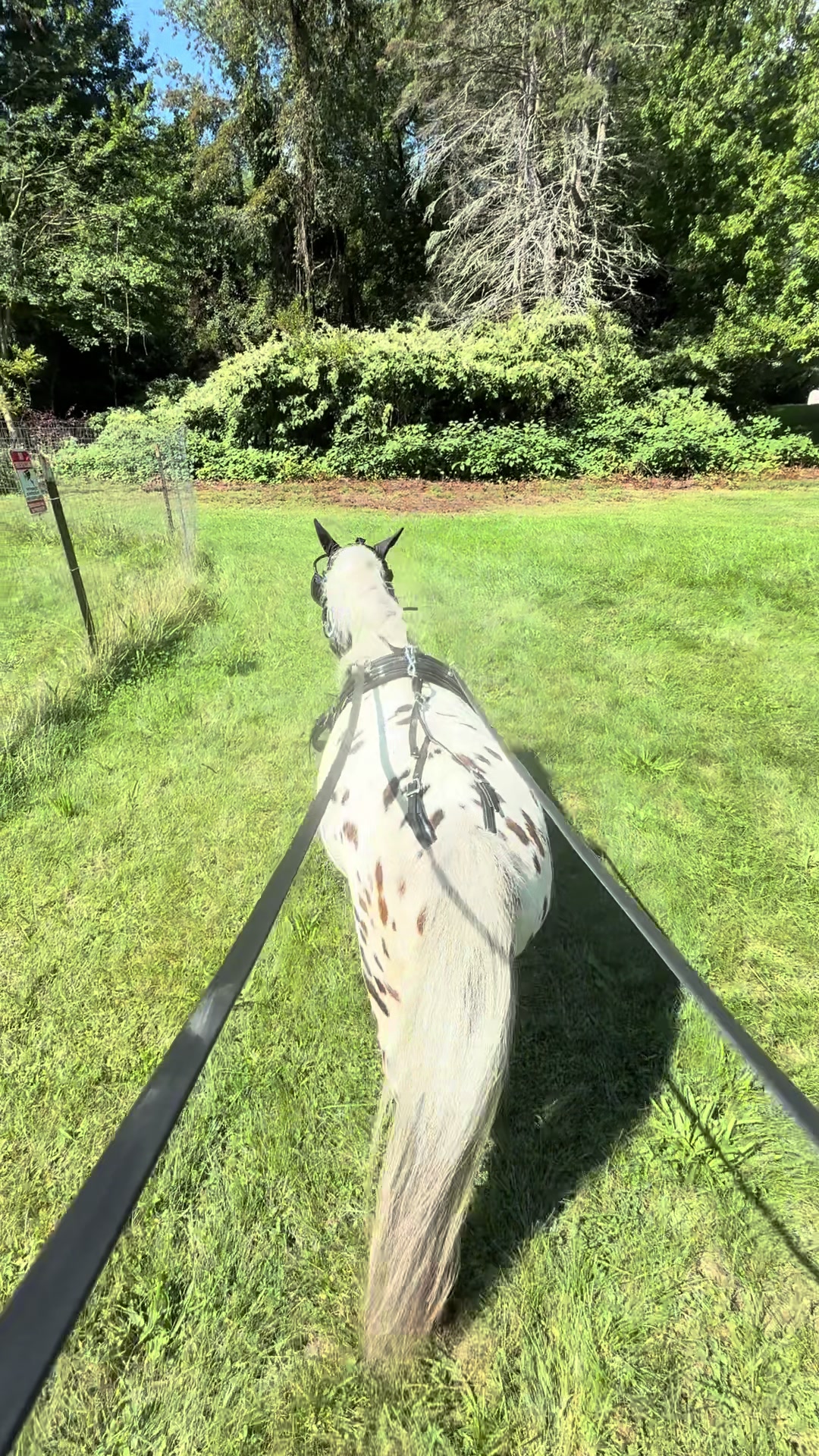 @Maxwell Farms