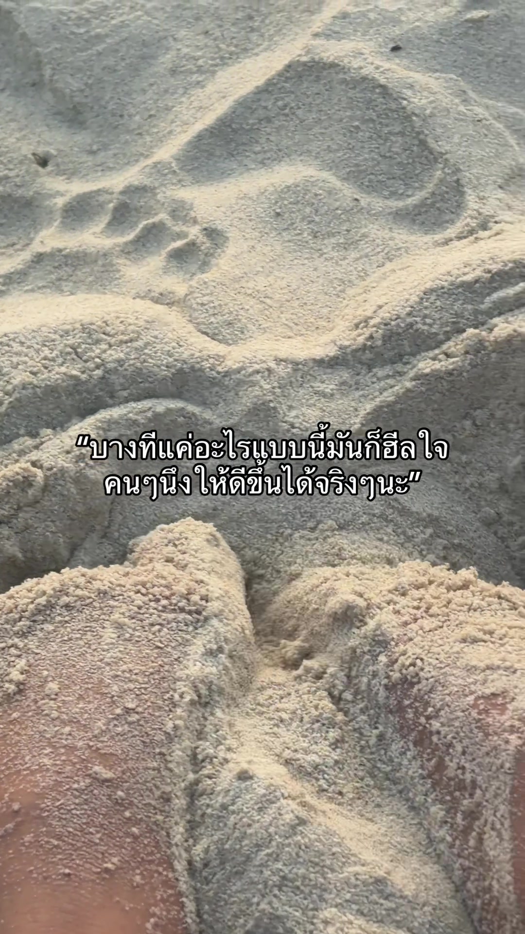 @เรื่องของปิ่น.