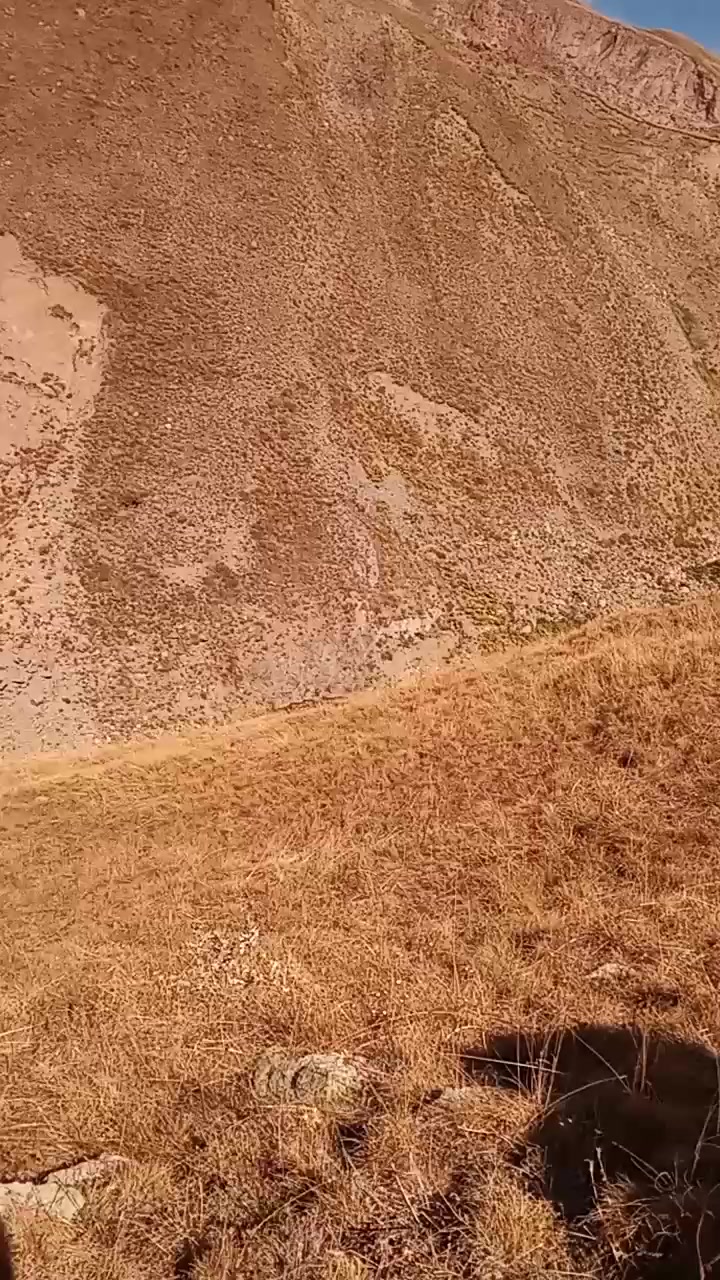 @Zahid cehrili