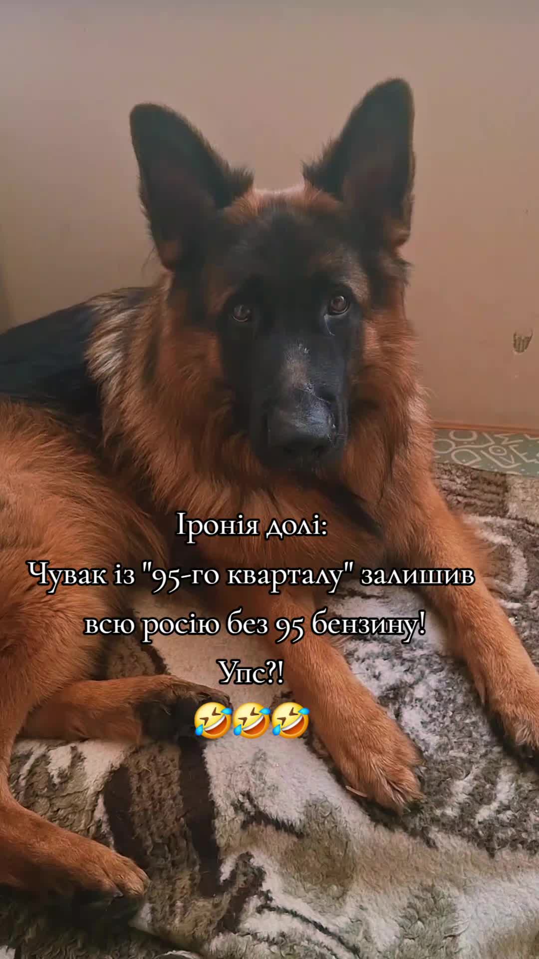 @МАТЬ ДРАКОНІВ🤣