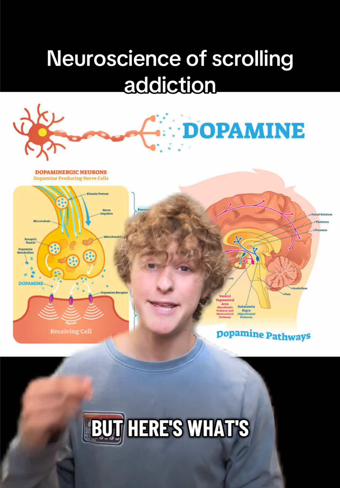 @brandonsbrainwave