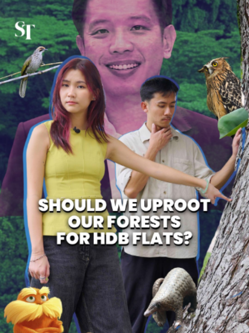 @The Straits Times