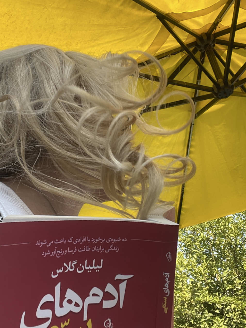 @shaqayeqamirzadeh