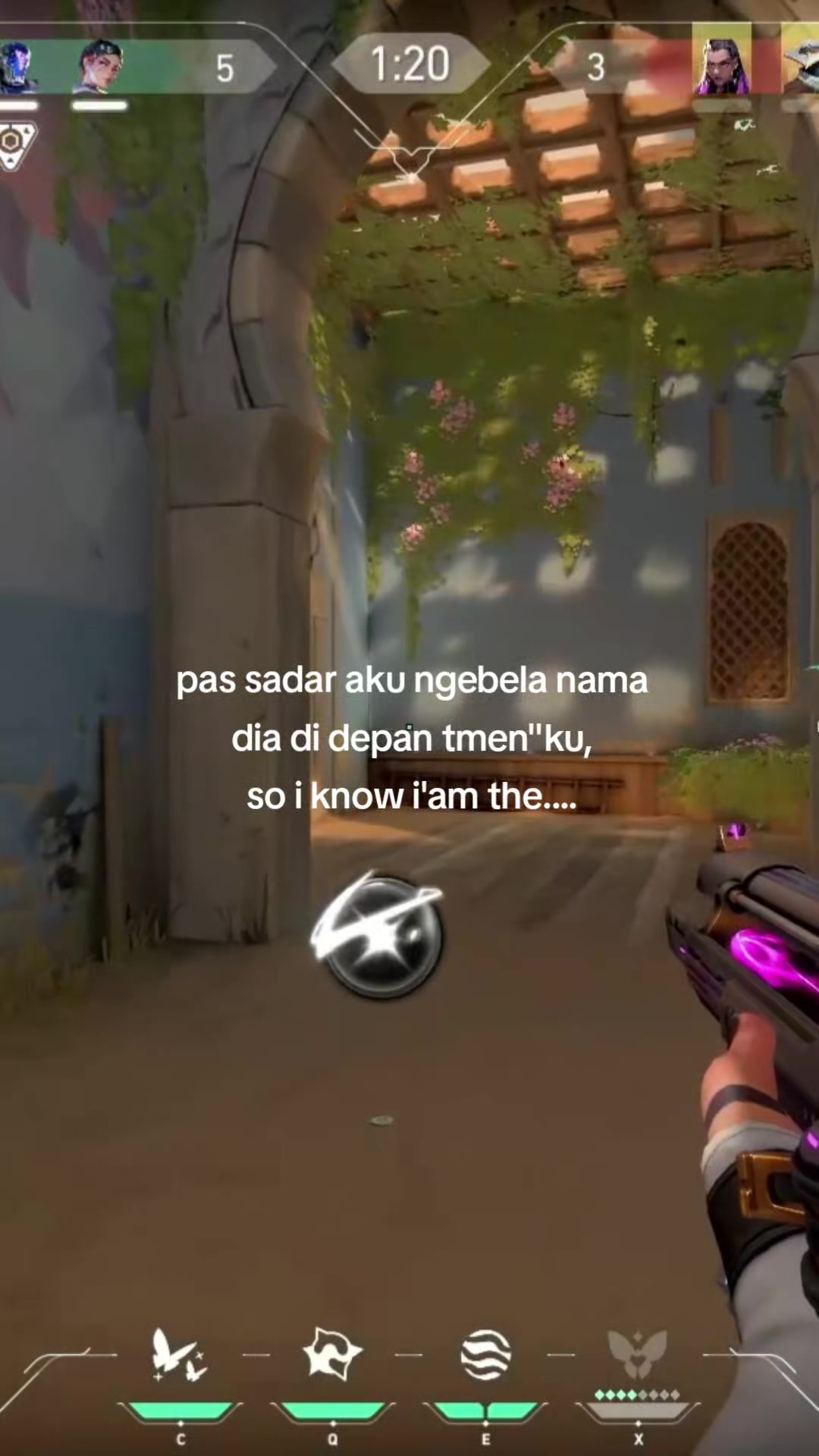@vitto