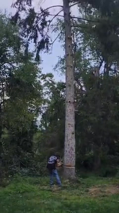 @Big_bad_brutus_11