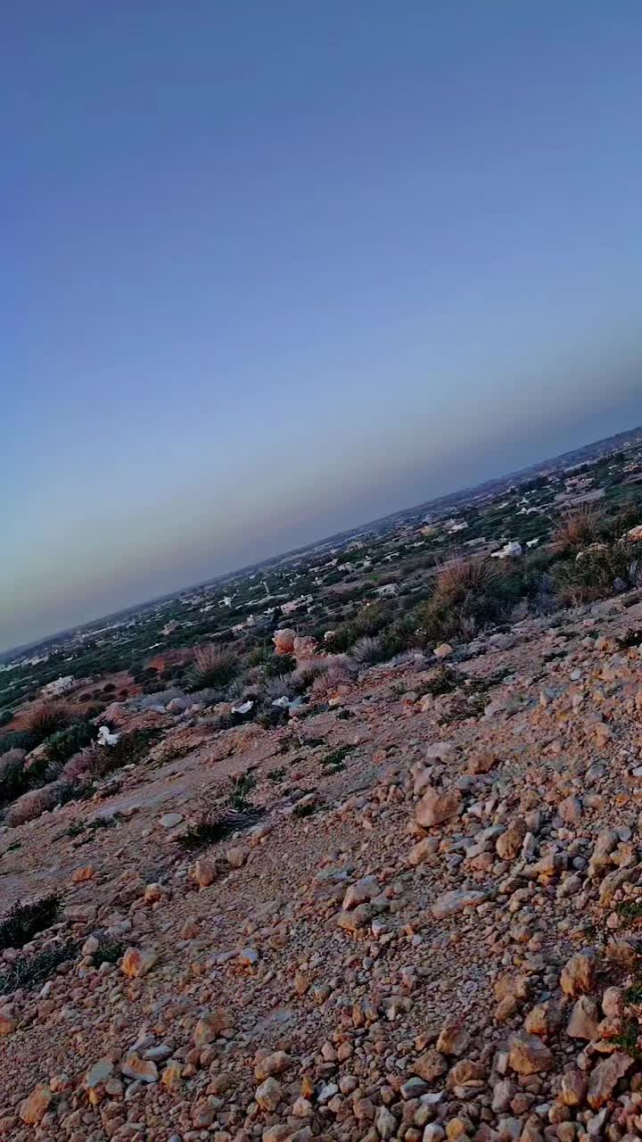 @مصعب شلش