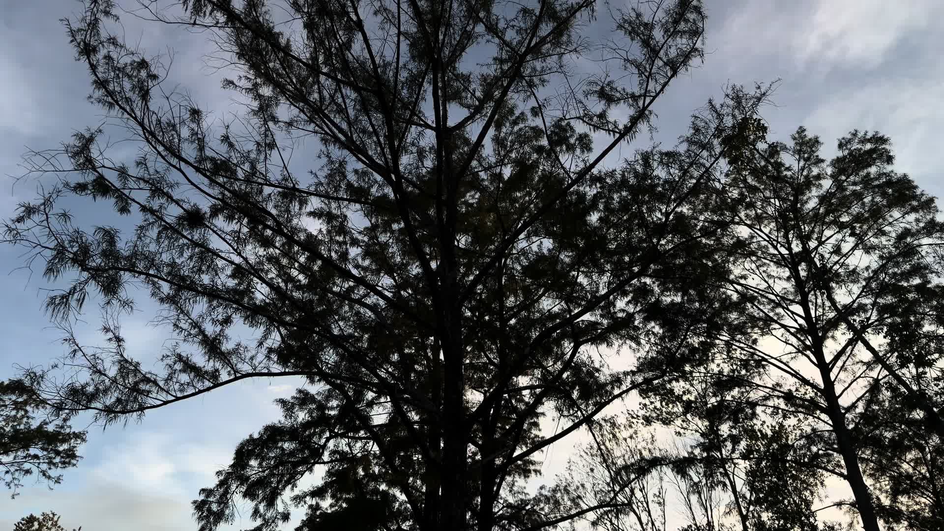 @239 M3