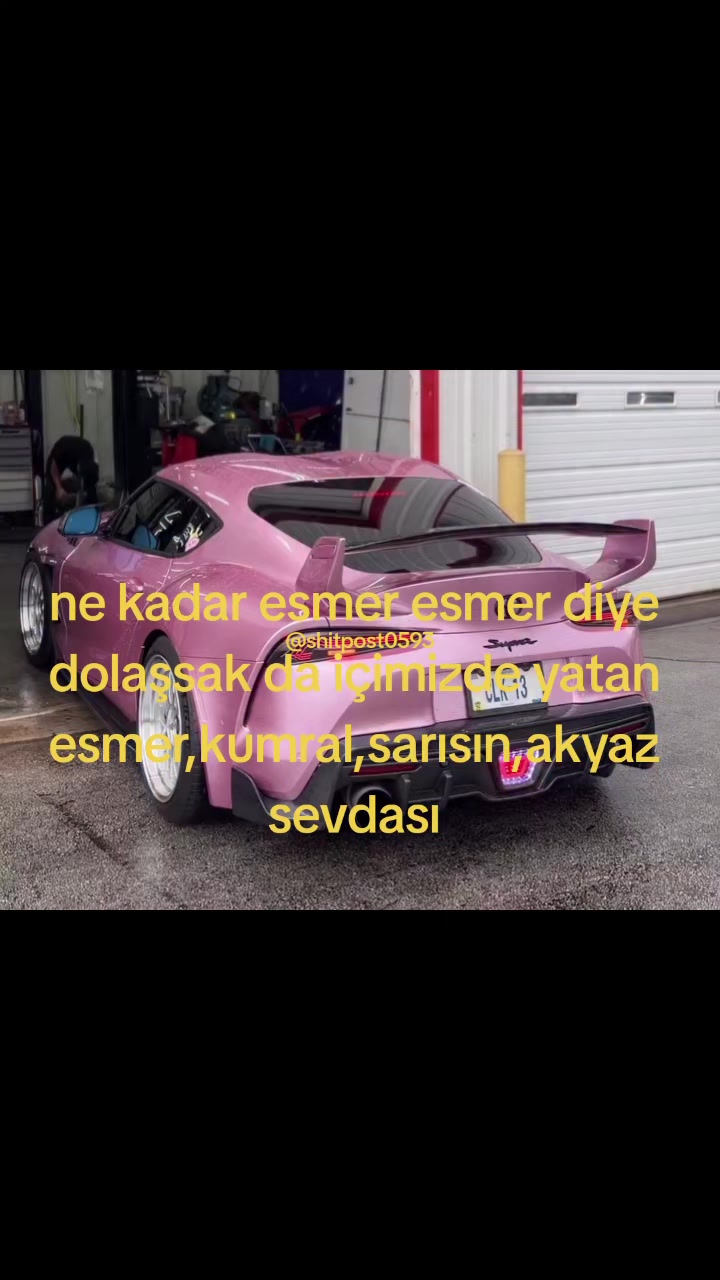 @𓆩❅𓆪